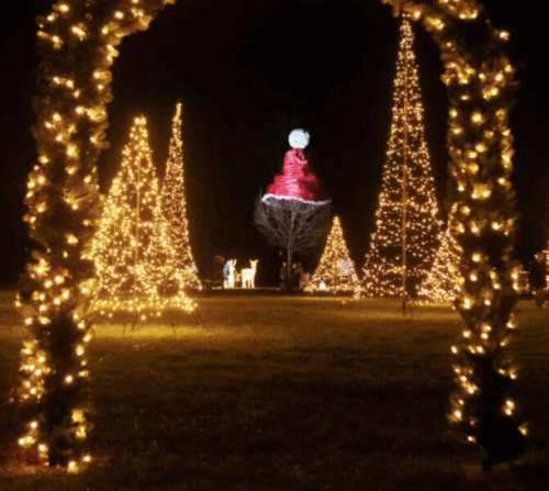 WeihnachtsMützenBaum